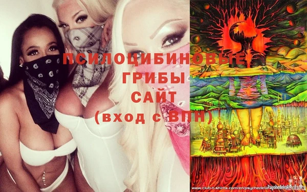 экстази Алексеевка