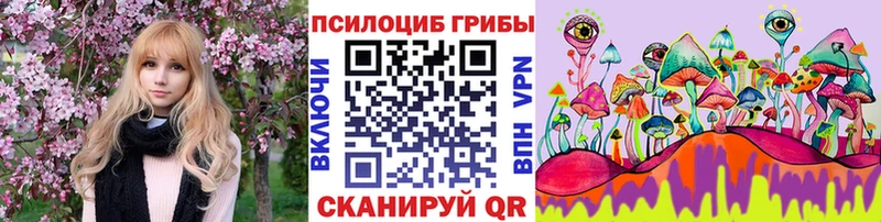 Псилоцибиновые грибы MAGIC MUSHROOMS Шенкурск